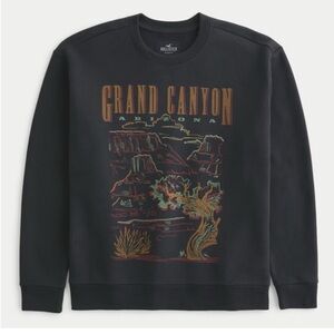 Hollister graphic sweater